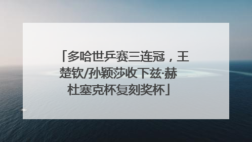 多哈世乒赛三连冠，王楚钦/孙颖莎收下兹·赫杜塞克杯复刻奖杯